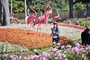 BIB: 
                            <button type="button" onclick="openModal(27793365)" class="btn btn-primary btn-sm float-right btn-popup" data-toggle="modal" data-target=".modal-high-quality">
                        <i class="fas fa-shopping-cart"></i> Add to Cart
                    </button>
                                            <button type="button" onclick="isThisMe(27793365, true)" class="btn btn-success btn-sm float-right btn-popup btn-isme hidden" data-toggle="tooltip" data-placement="bottom" title="นี่คือรูปของคุณใช่ไหม คลิกที่นี่เพื่อเอาเข้าอัลบั้ม">
                        <i class="fas fa-plus"></i> Add to album
                    </button>
                    <button type="button" onclick="isThisMe(27793365, false)" class="btn btn-warning btn-sm float-right btn-popup btn-isnotme hidden">
                        <i class="fas fa-ban"></i> Remove from album
                    </button>